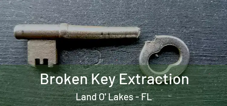  Broken Key Extraction Land O' Lakes - FL