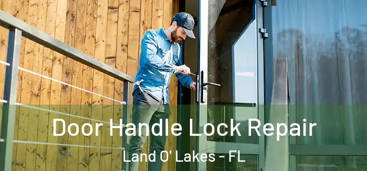  Door Handle Lock Repair Land O' Lakes - FL