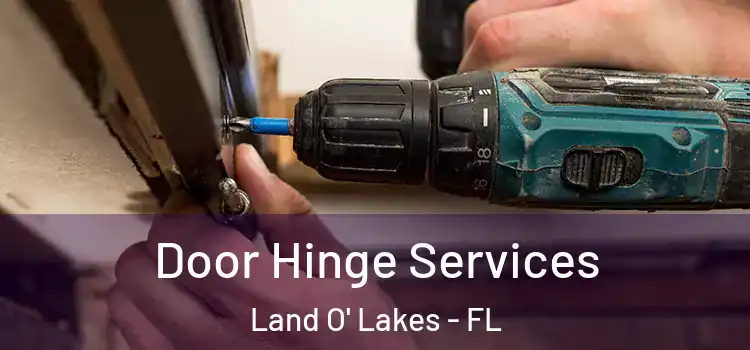  Door Hinge Services Land O' Lakes - FL