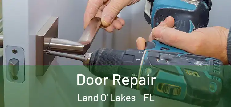  Door Repair Land O' Lakes - FL