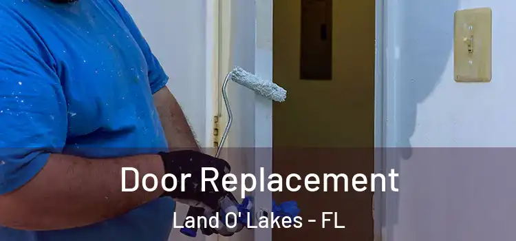  Door Replacement Land O' Lakes - FL