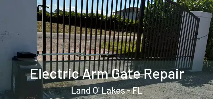  Electric Arm Gate Repair Land O' Lakes - FL