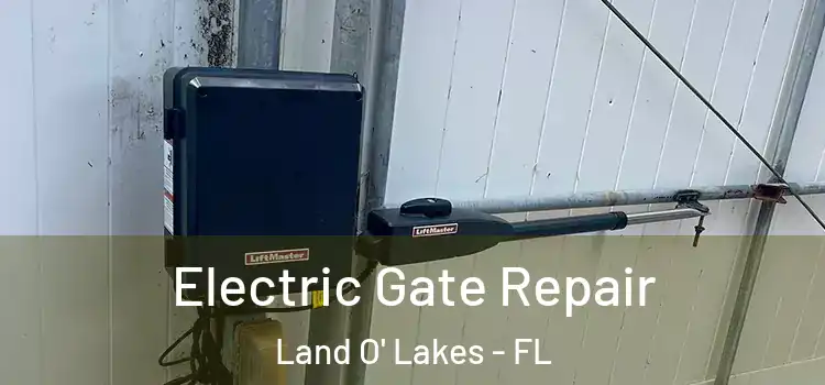  Electric Gate Repair Land O' Lakes - FL
