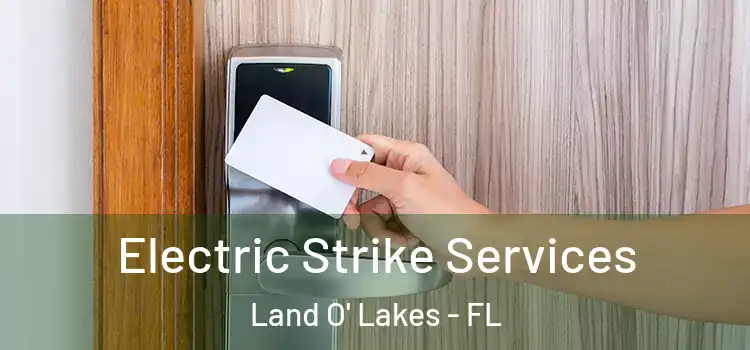  Electric Strike Services Land O' Lakes - FL