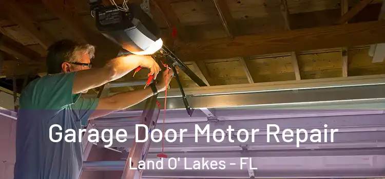  Garage Door Motor Repair Land O' Lakes - FL