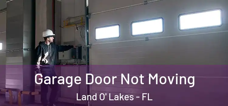  Garage Door Not Moving Land O' Lakes - FL