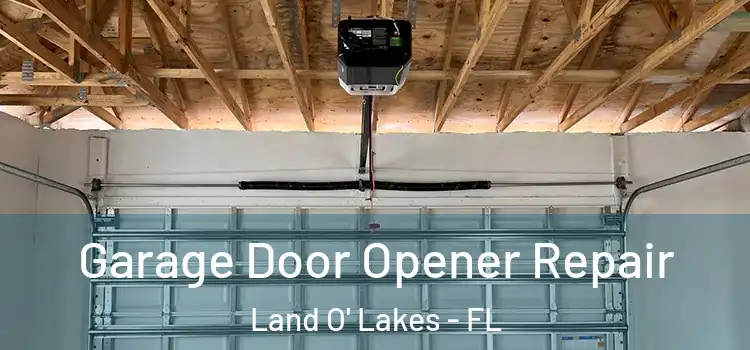  Garage Door Opener Repair Land O' Lakes - FL