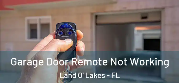  Garage Door Remote Not Working Land O' Lakes - FL