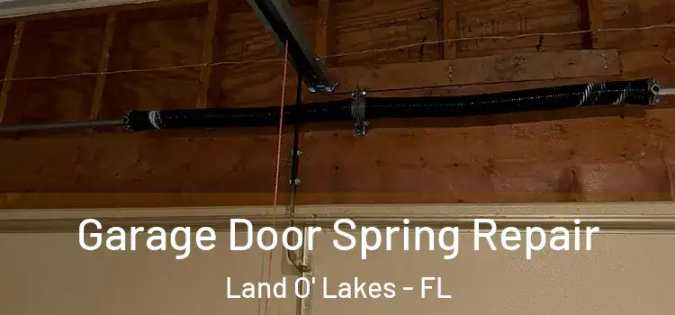  Garage Door Spring Repair Land O' Lakes - FL