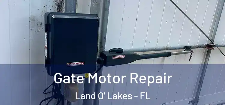  Gate Motor Repair Land O' Lakes - FL