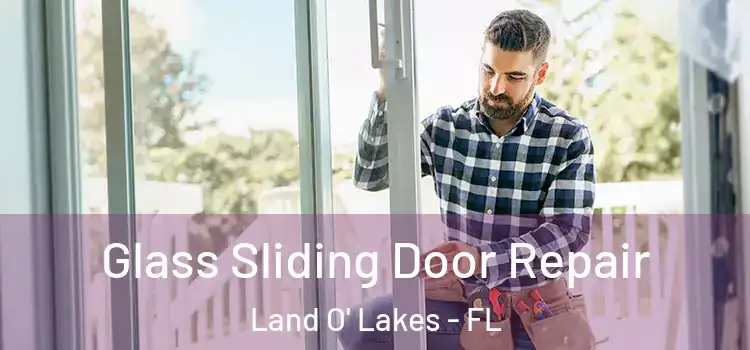  Glass Sliding Door Repair Land O' Lakes - FL