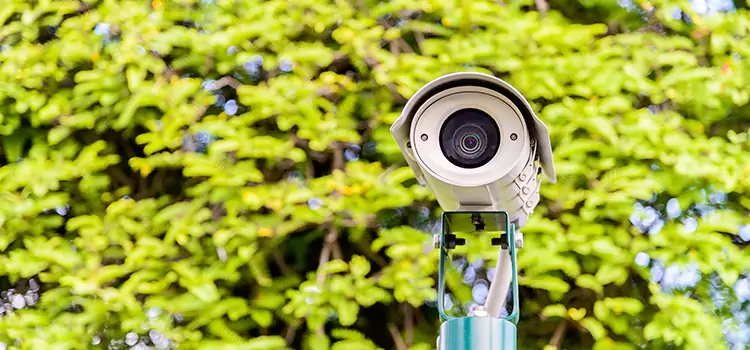 Advanced Surveillance Solutions for Every Need in Land O' Lakes