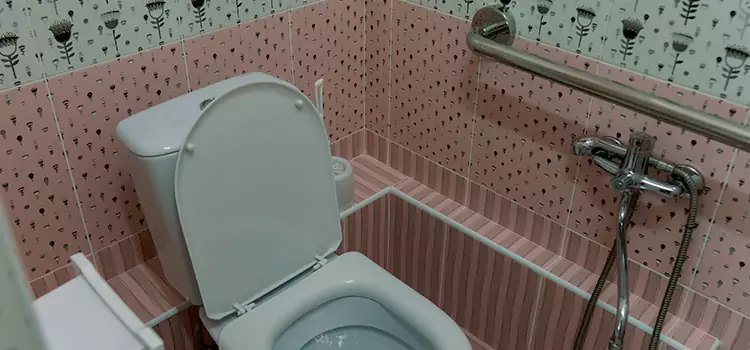 Meeting Diverse Needs With Accessible Restroom Solutions in Land O' Lakes, FL