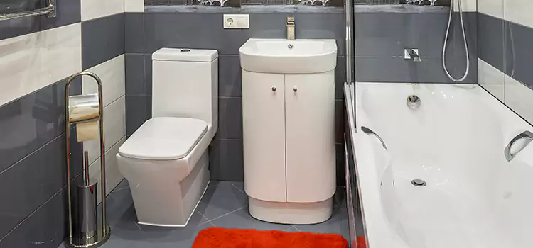 Hansgrohe Shaving Mirror Land O' Lakes