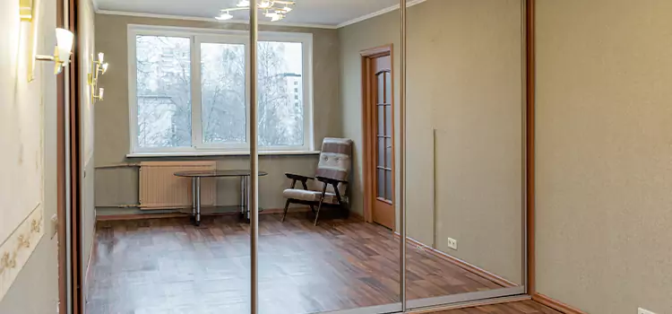 Mirror Closet Door Roller Replacement Land O' Lakes