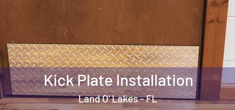 Kick Plate Installation Land O' Lakes - FL