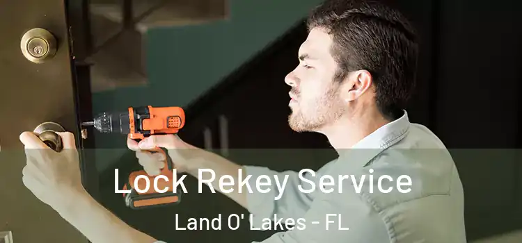 Lock Rekey Service Land O' Lakes - FL