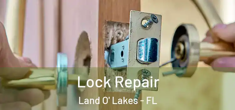 Lock Repair Land O' Lakes - FL