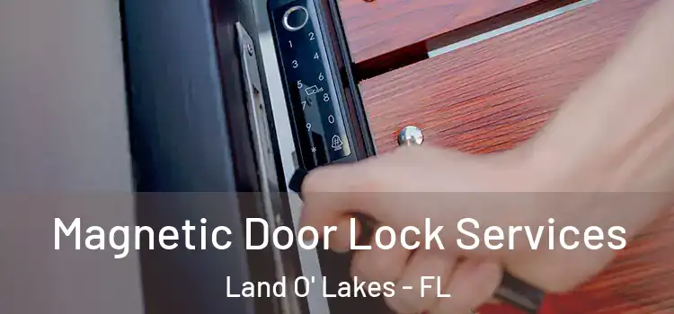  Magnetic Door Lock Services Land O' Lakes - FL
