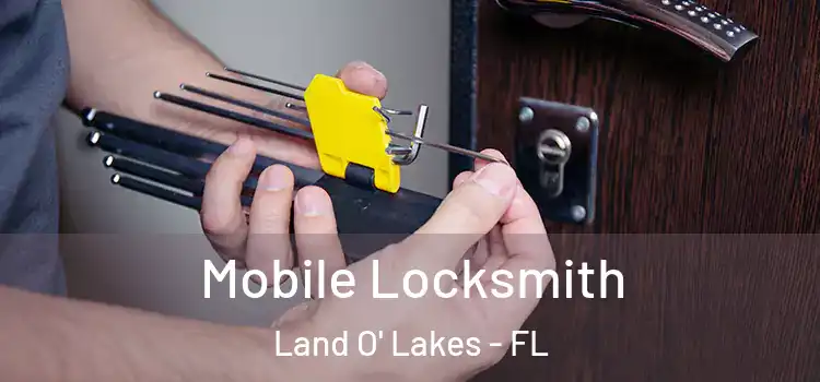  Mobile Locksmith Land O' Lakes - FL
