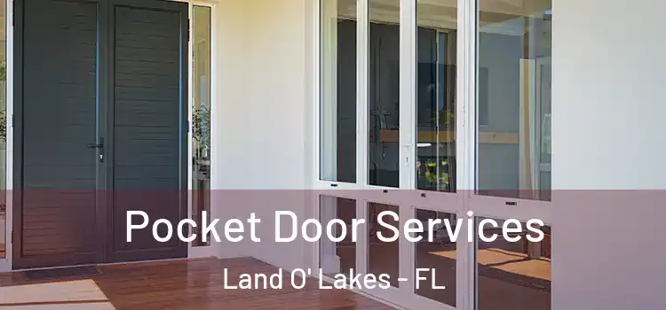 Pocket Door Services Land O' Lakes - FL