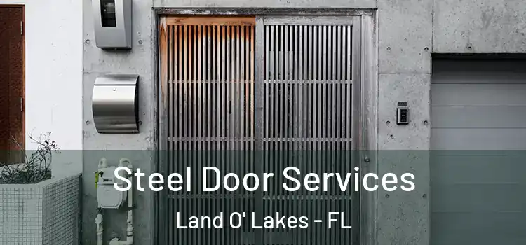  Steel Door Services Land O' Lakes - FL
